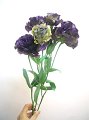 Eustoma Double YaeMiyabi